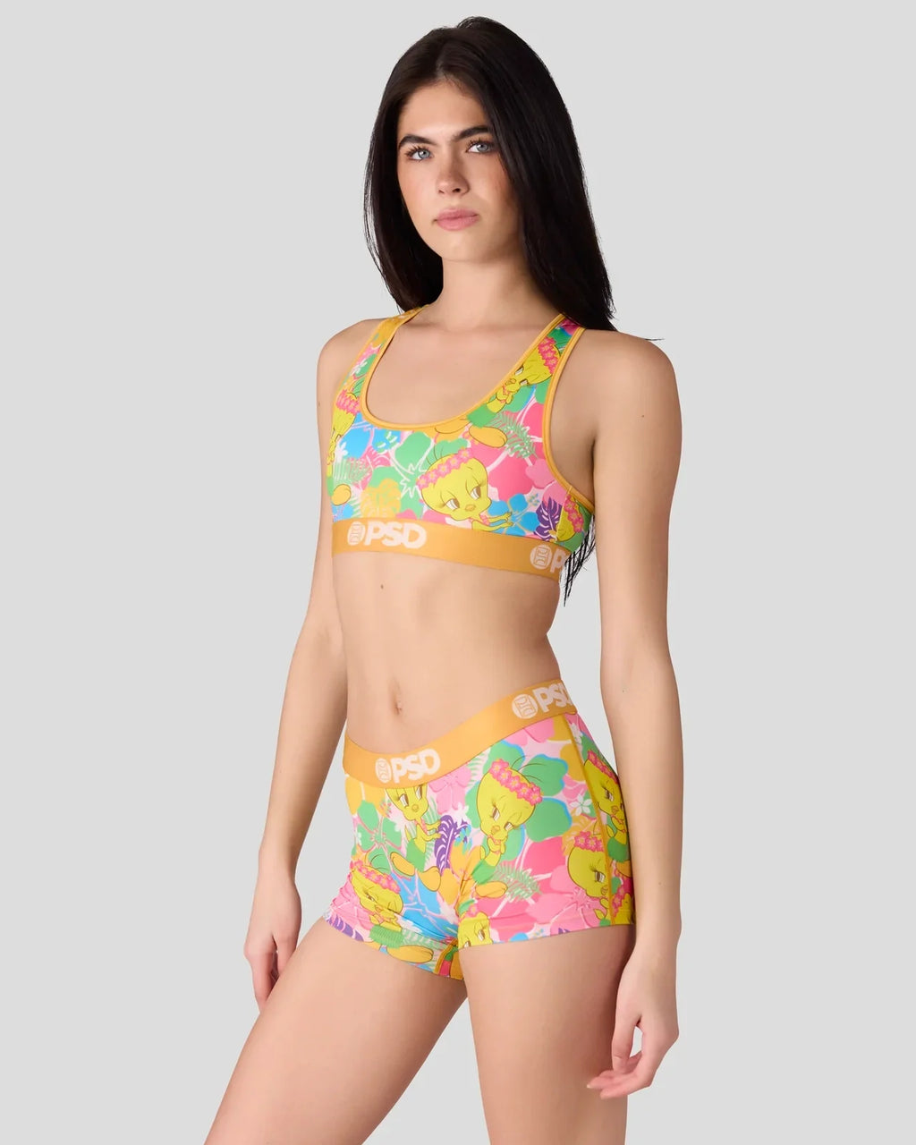 Looney Tunes - Tweety Hawaii